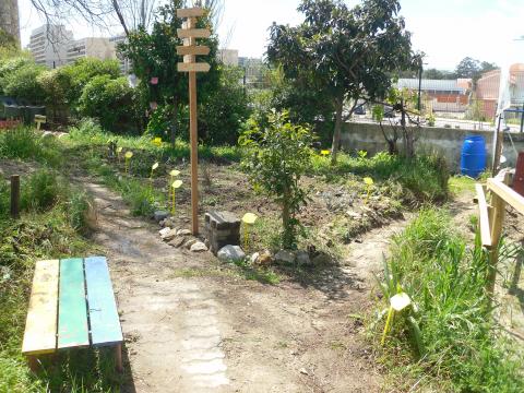 Terreno composto por horta pedagógica e jardim pedagógico